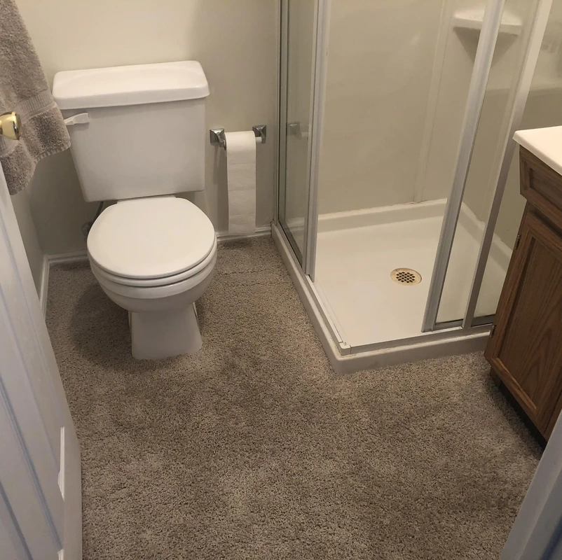 shower room with carpet flooring